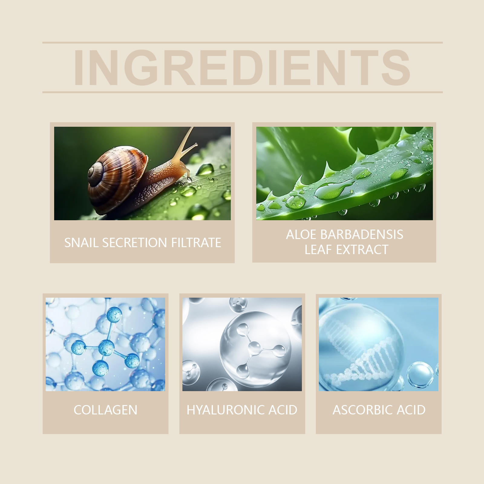 Hoygi Snail Mucin Serum Hydrating, Moisturizing, Clear, Radiant, Radiant And Rough Essence