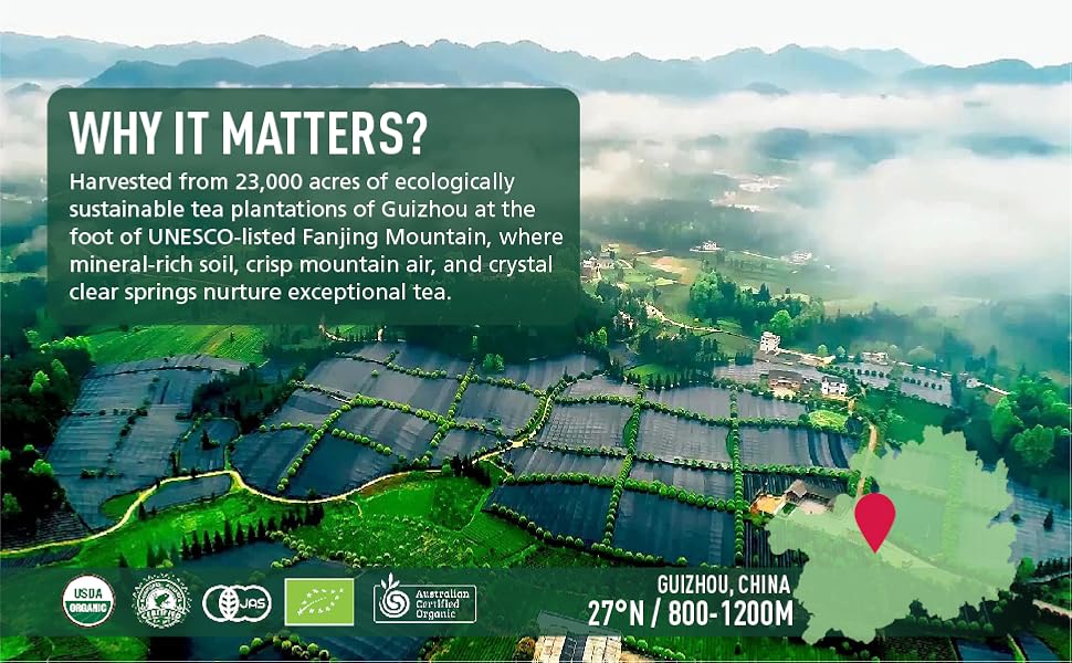 Matcha-Ceremonial Grade Matcha Green Tea Powder